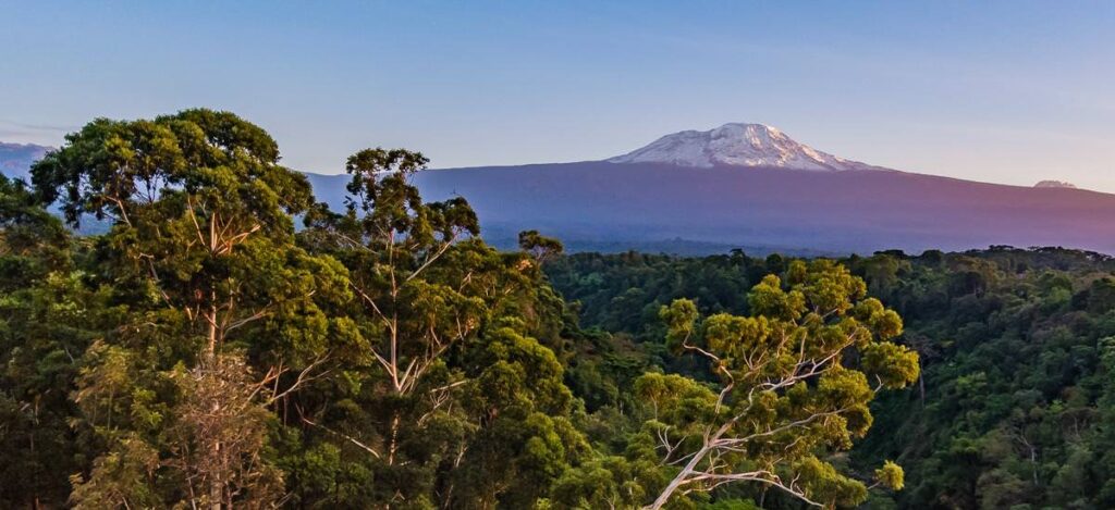 Ausblick auf den Kilimanjaro